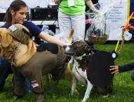 Navy’s 2nd Annual Woof Walk