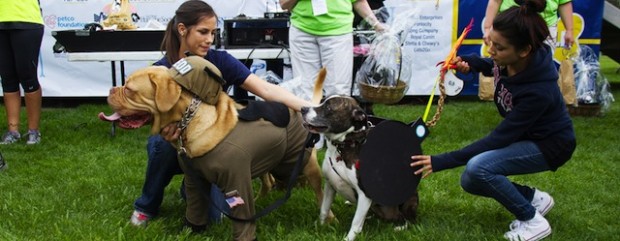 Navy’s 2nd Annual Woof Walk