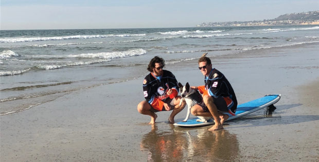 San Diego Gulls Announce 2018 “Pucks & Paws” Calendar to Benefit Shelter to Soldier