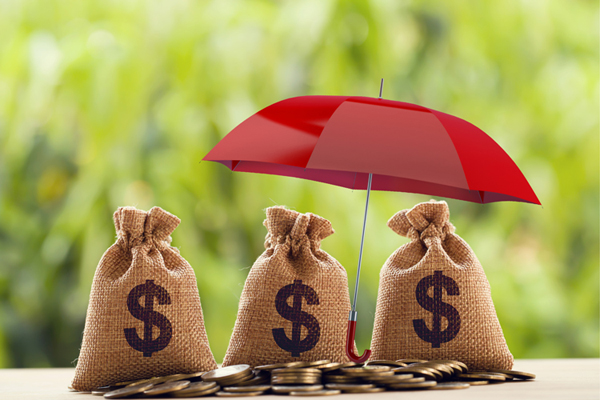 5 THINGS YOU MUST DO TO PROTECT YOUR ASSETS