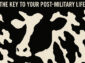 Finding Purpose Beyond the Uniform: “Find the F’s” and “Find the Cow”