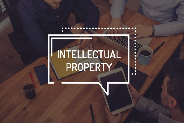 Intellectual Property in the Digital Age